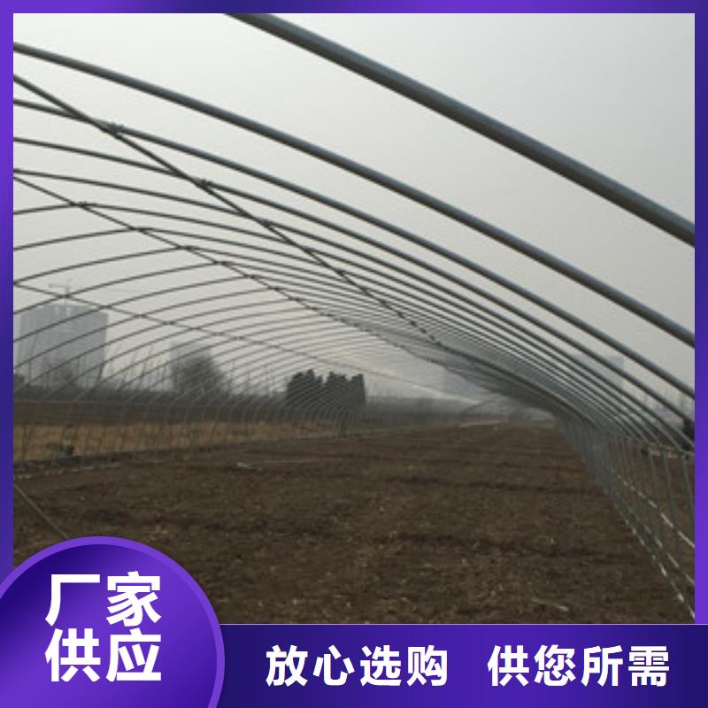 大棚管镀锌管厂家采购