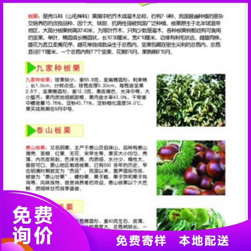 板栗苗_桃树苗诚信为本