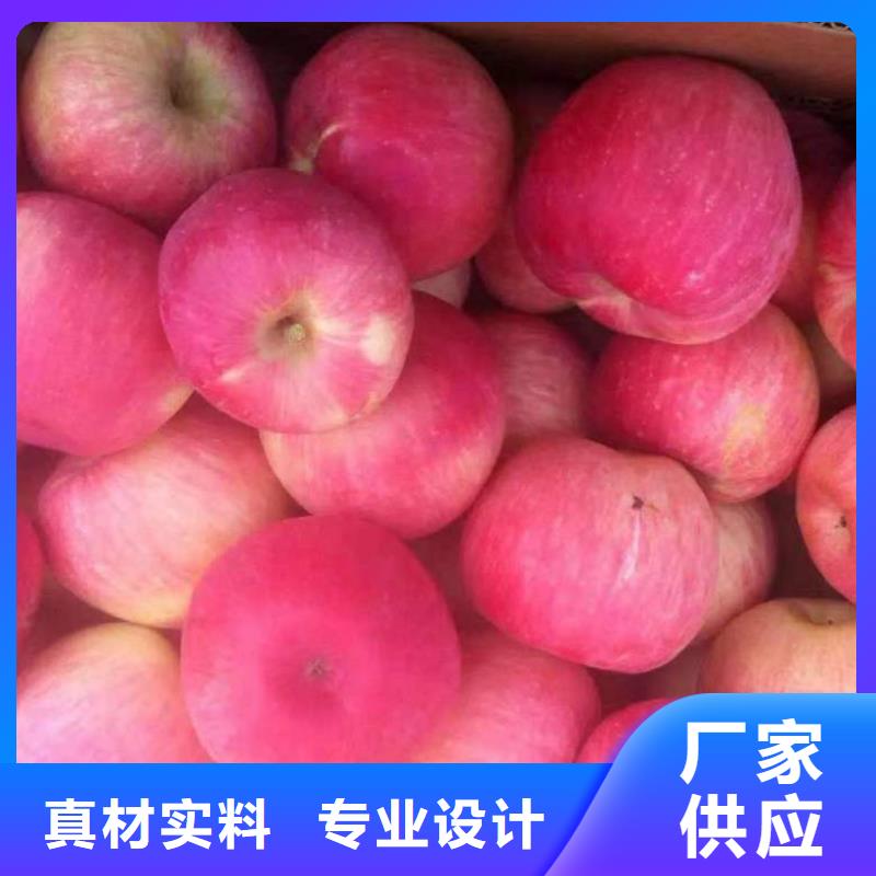 苹果苗 桃树苗丰富的行业经验