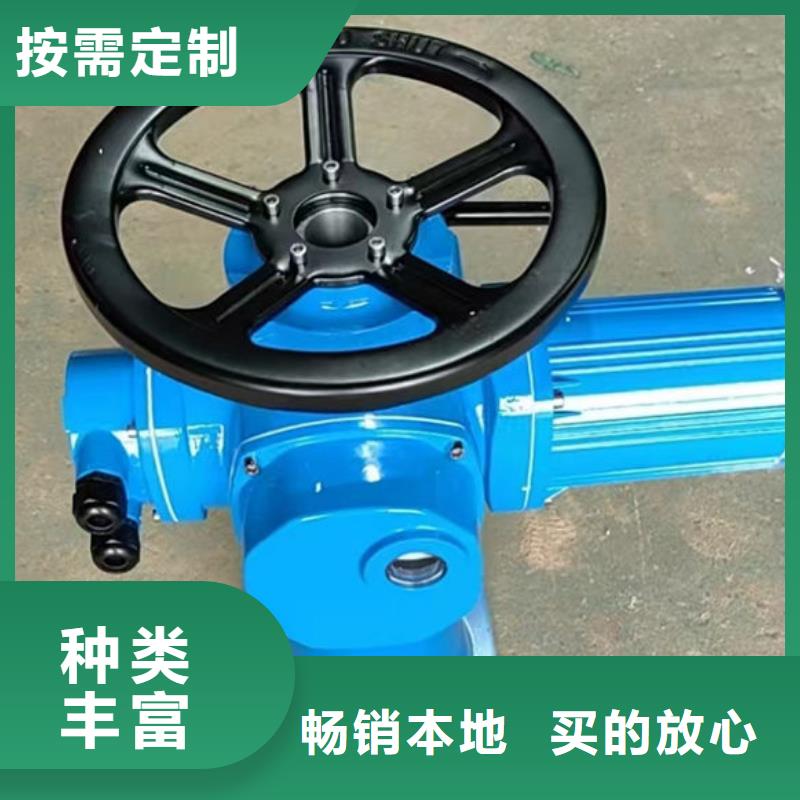 10吨手电启闭机销售耀禹水利