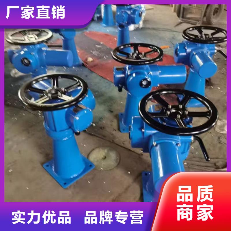 手电两用螺杆启闭机厂家