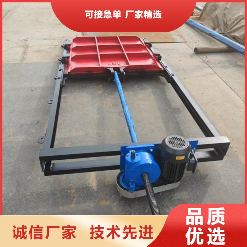 铸铁镶铜闸门报价生产厂家