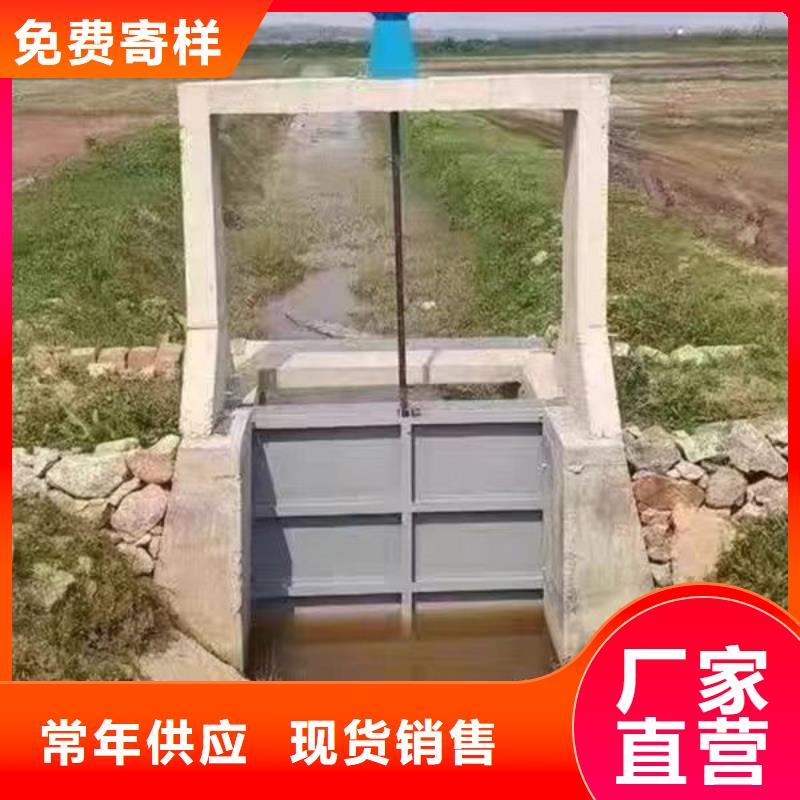 铸铁闸门公司价格