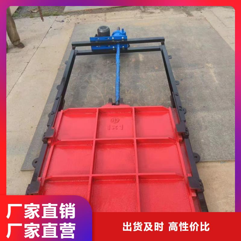 双止水铸铁闸门安装