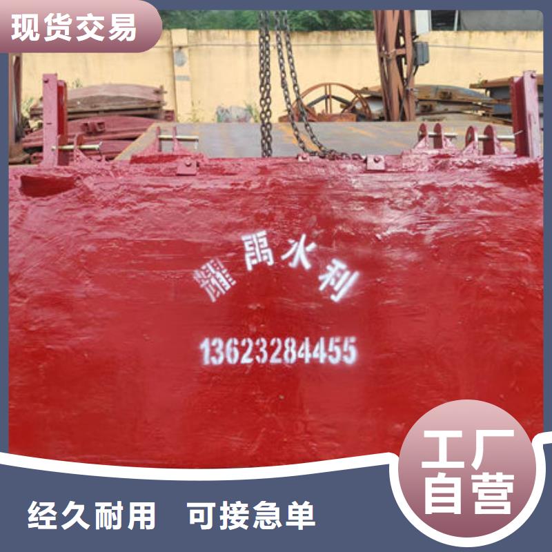 铸铁镶铜闸门钢坝订制