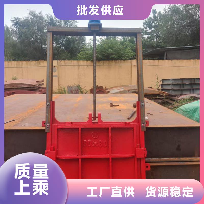 铸铁镶铜闸门价格