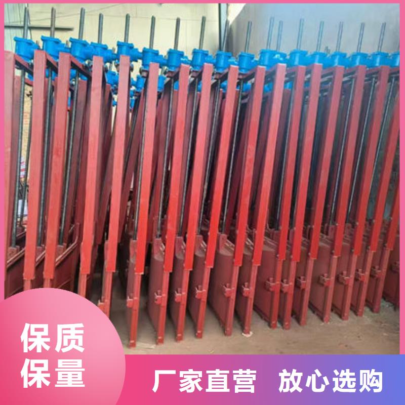 铸铁镶铜闸门钢坝订制