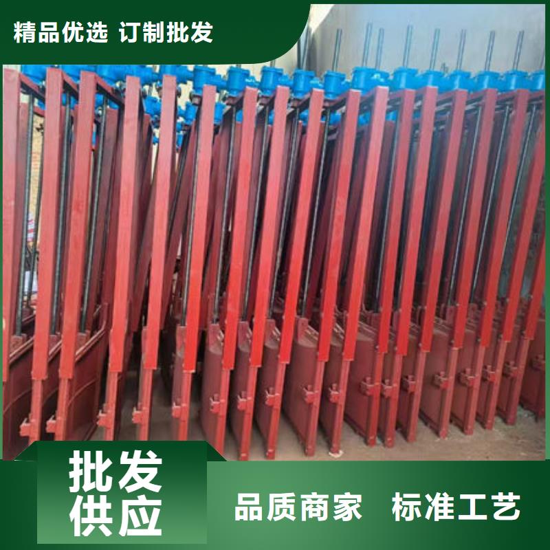 铸铁镶铜闸门安装图片价格