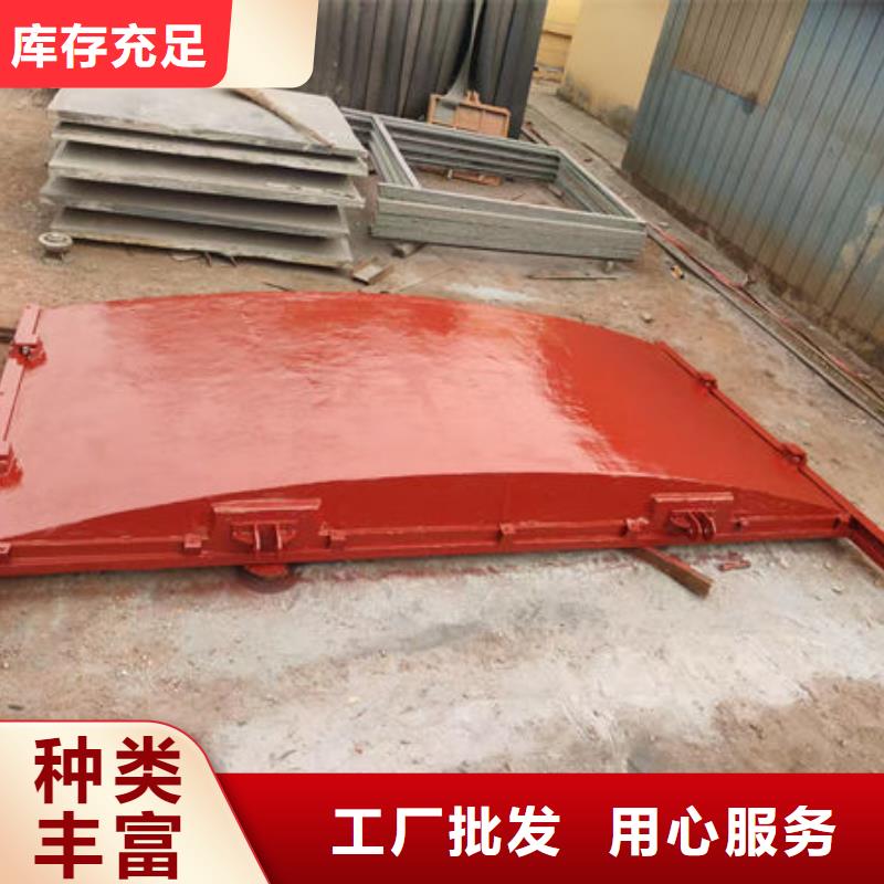 铸铁镶铜闸门钢坝订制