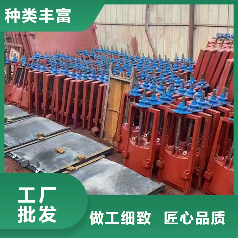 铸铁镶铜闸门价格