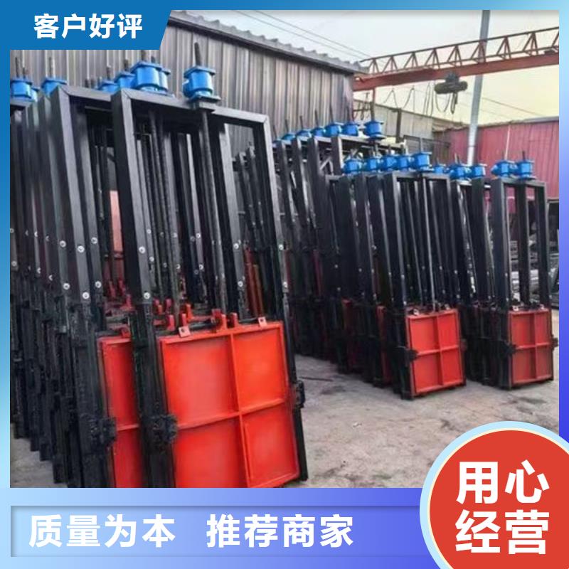 附壁式镶铜闸门销售