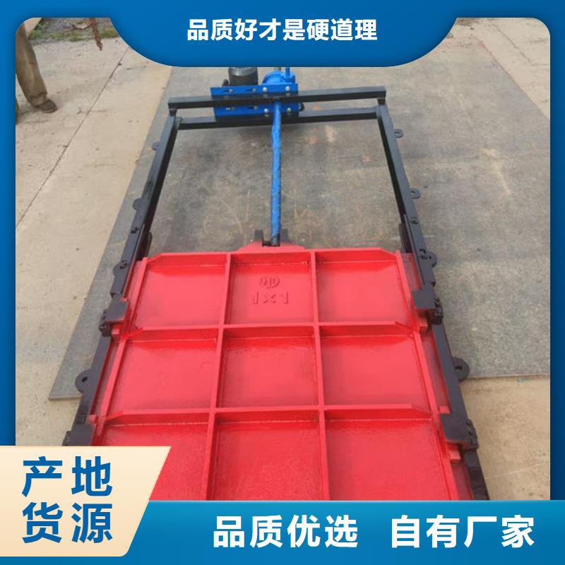 铸铁镶铜闸门安装图片价格