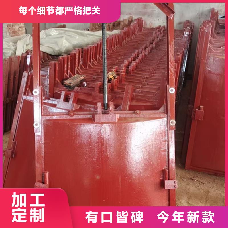 铸铁镶铜闸门钢坝订制
