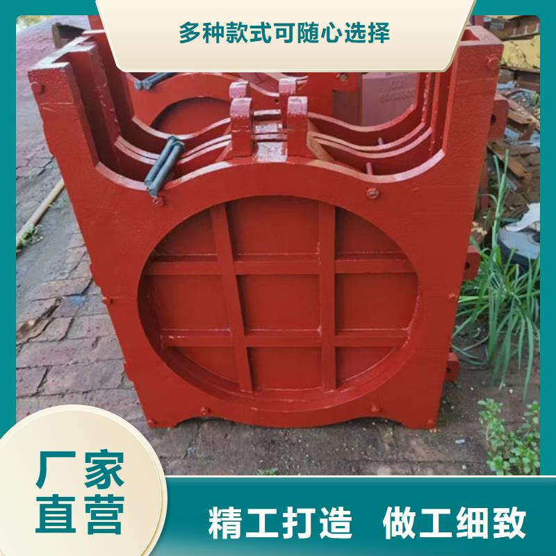 铸铁镶铜闸门钢坝订制