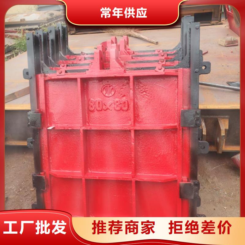 铸铁镶铜闸门价格