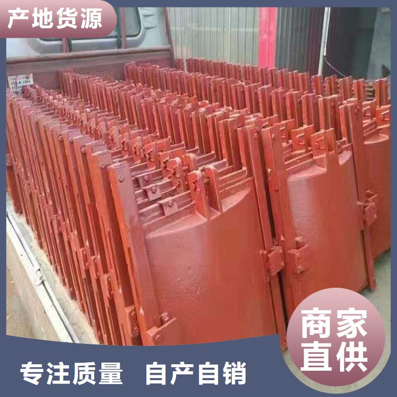 铸铁镶铜闸门工厂安装