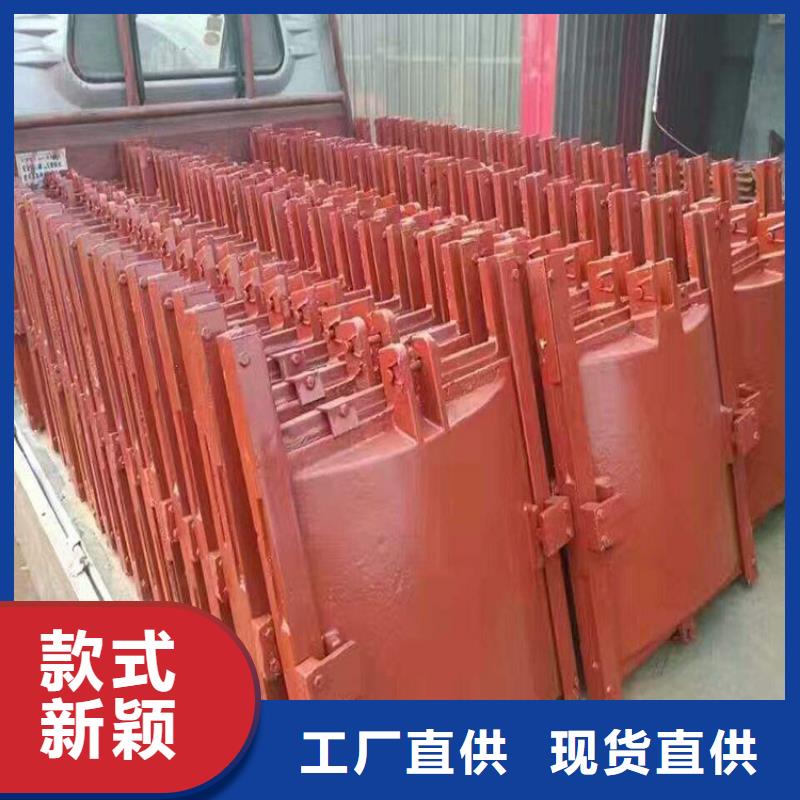 铸铁镶铜闸门价格