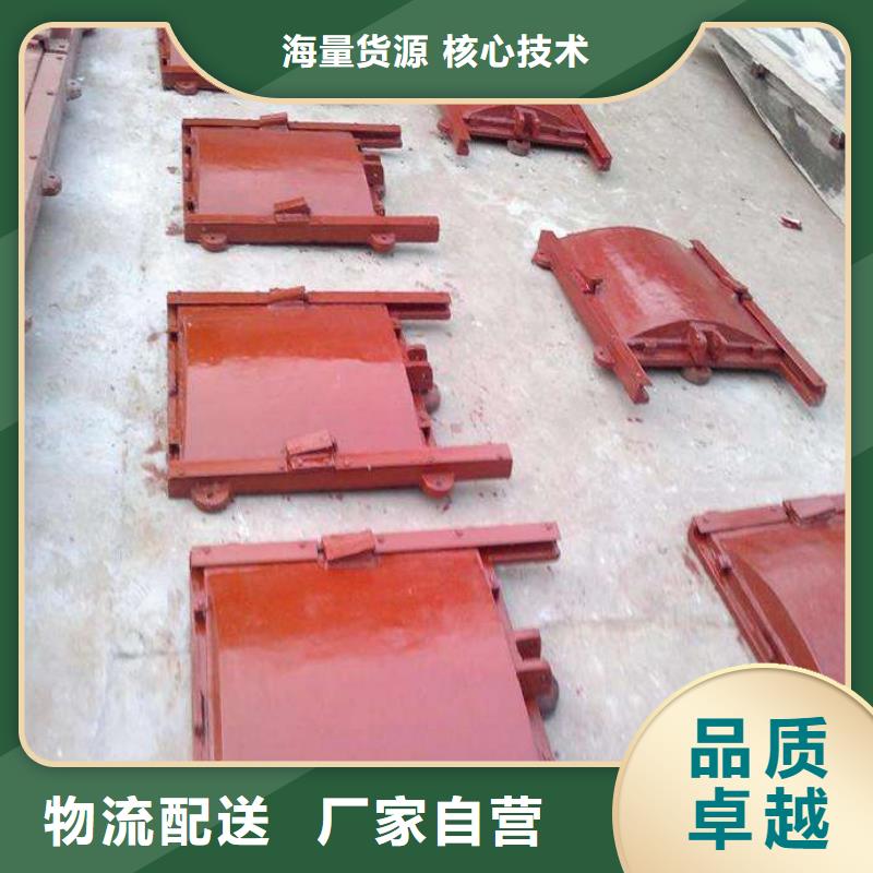 铸铁镶铜闸门工厂安装