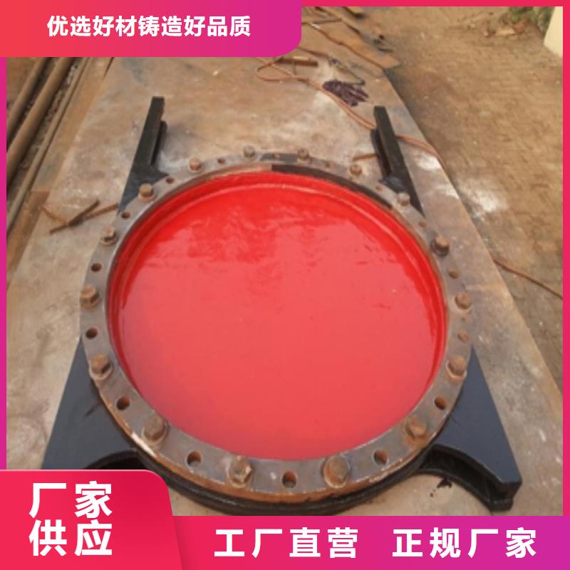 铸铁镶铜闸门厂家