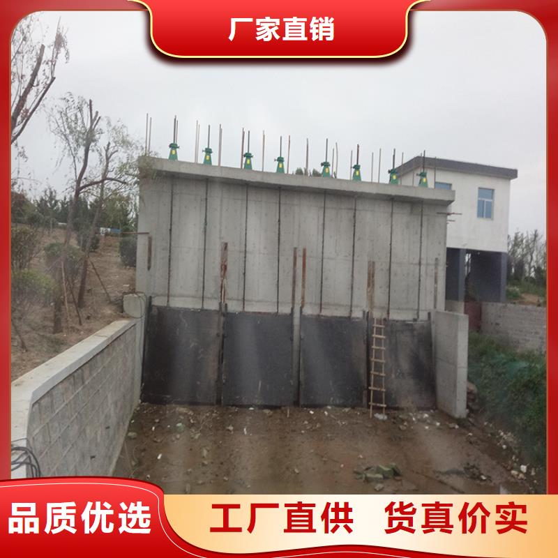 铸铁镶铜闸门厂家