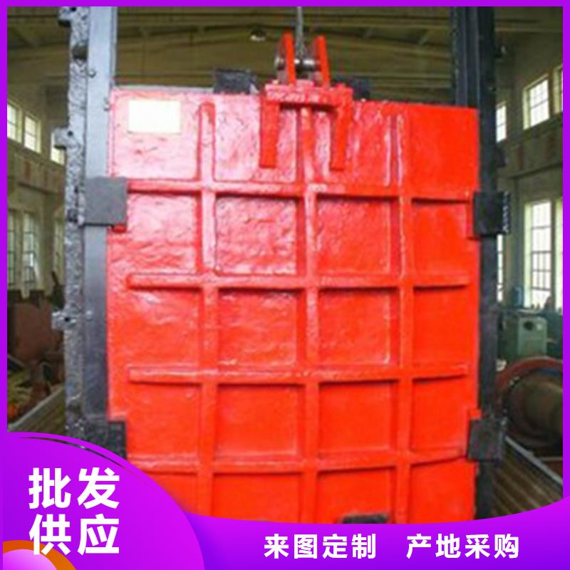 铸铁镶铜闸门钢坝安装