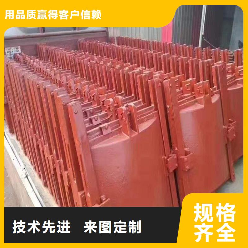 铸铁镶铜闸门报价生产厂家