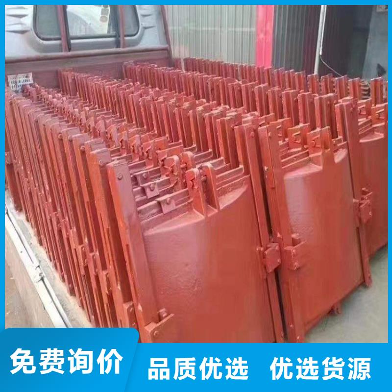 铸铁镶铜闸门价格