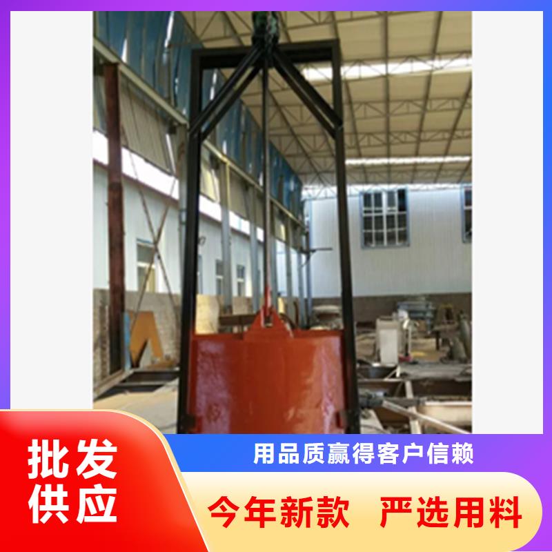 双止水铸铁闸门安装