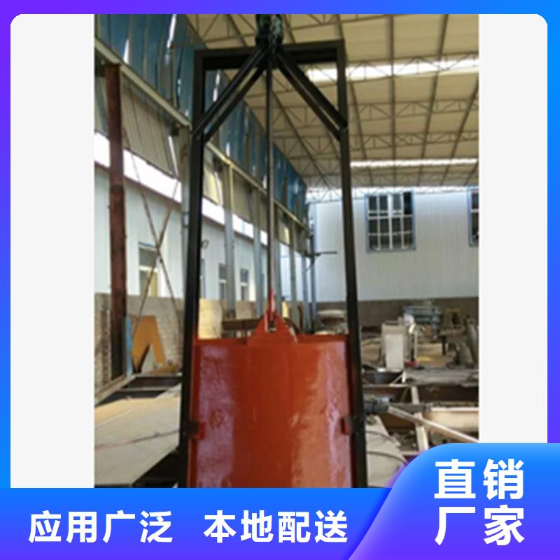 铸铁镶铜闸门价格