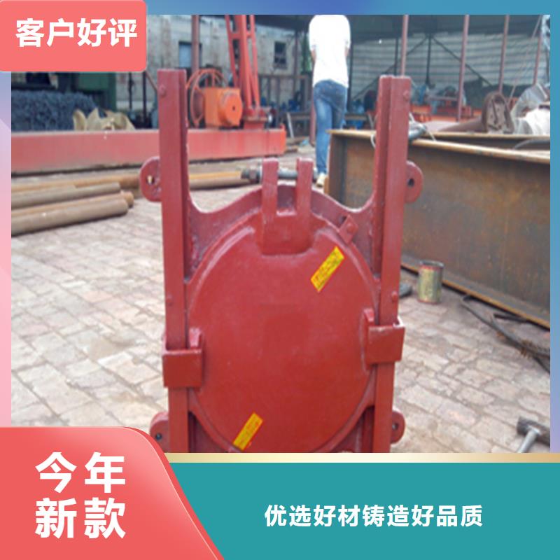 铸铁镶铜闸门报价生产厂家