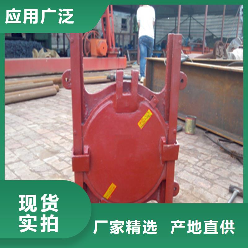 铸铁镶铜闸门规格