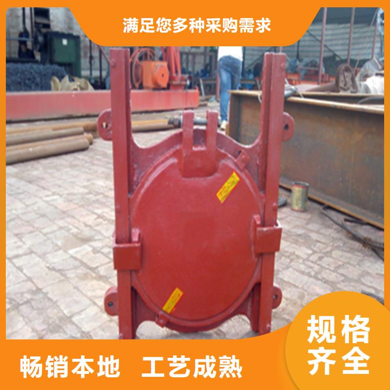 双止水铸铁闸门安装