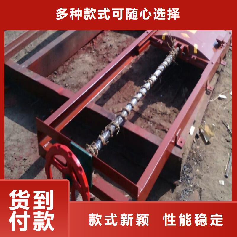 铸铁镶铜闸门价格