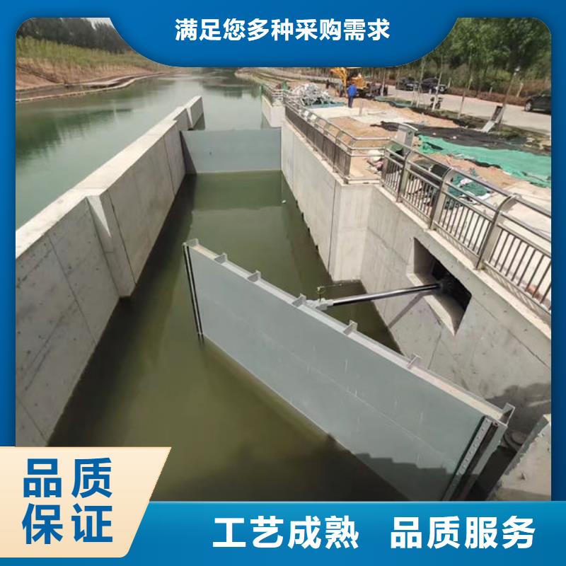 钢坝闸门支持定制