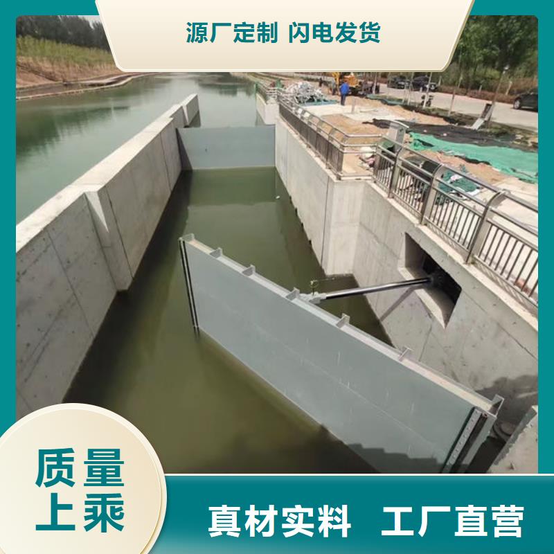 钢坝闸支持定制