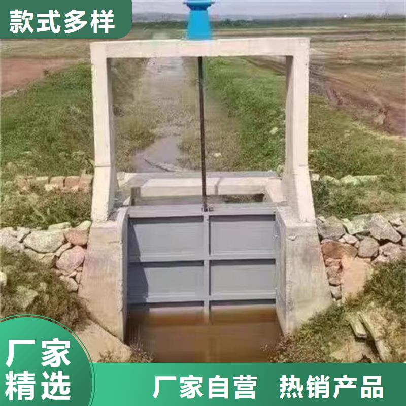 电动不锈钢闸门用途广泛