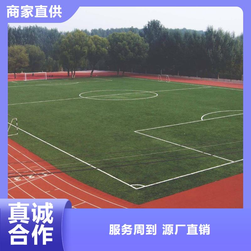 塑胶跑道EPDM颗粒弹性橡胶跑道来图定制