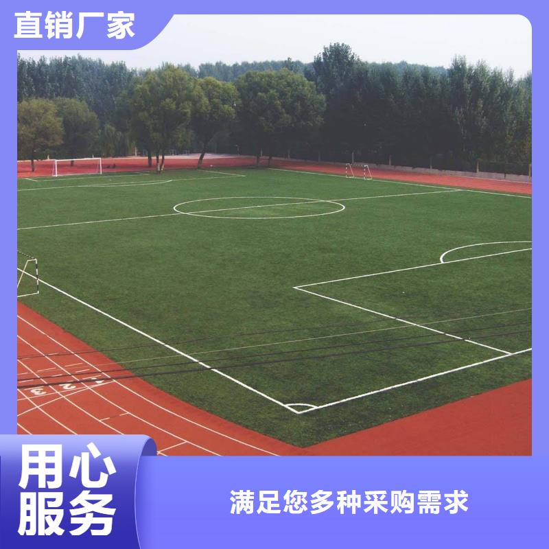 塑胶场地塑胶跑道厂家优选厂家