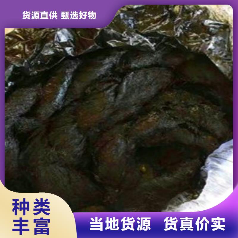 沥青板止水条厂家采购