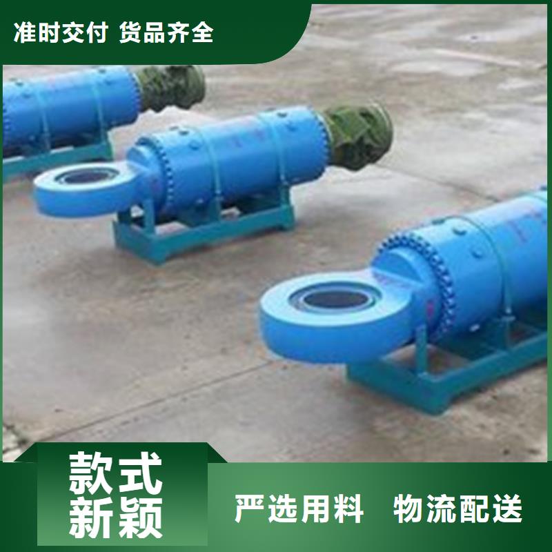 启闭机,QL-2*8T-SD手电两用启闭机贴心服务