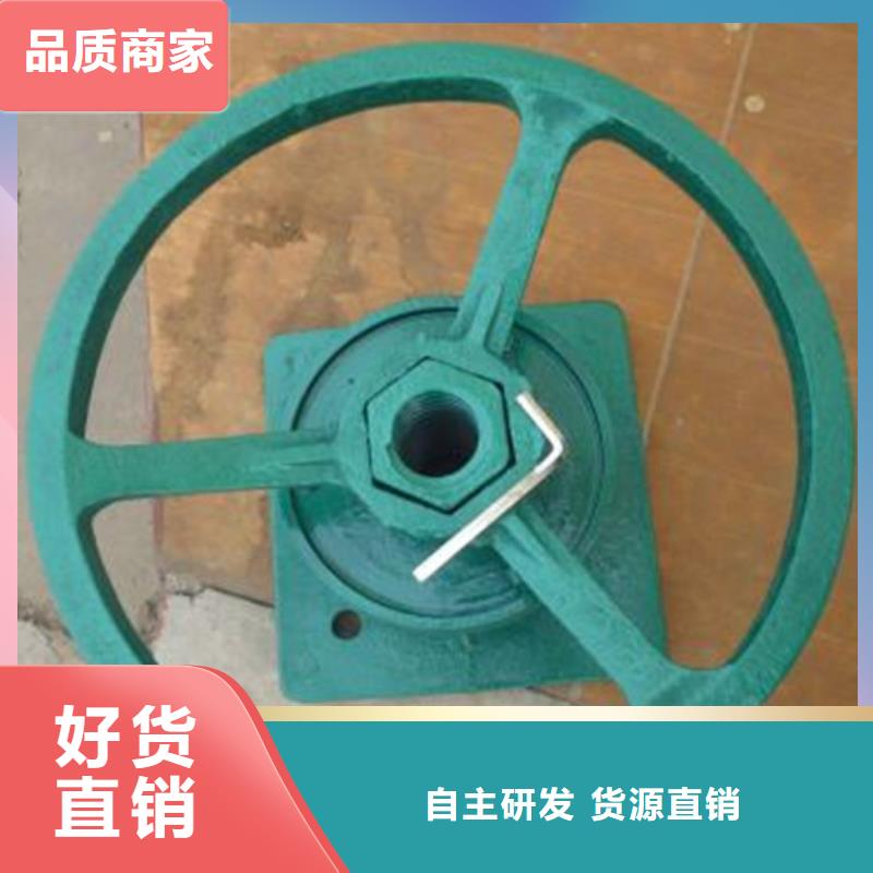 启闭机_QL型200KN手电两用启闭机按需定做