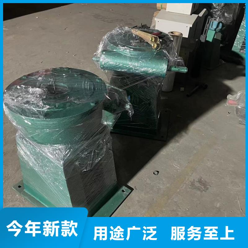 启闭机,QL-2*8T-SD手电两用启闭机贴心服务