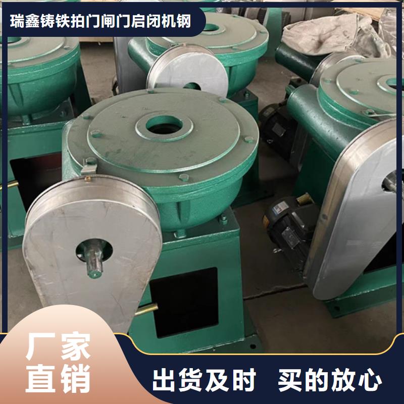 启闭机,QL-2*8T-SD手电两用启闭机贴心服务