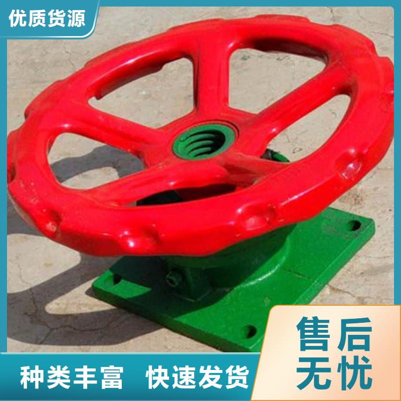 启闭机,QL-2*8T-SD手电两用启闭机贴心服务