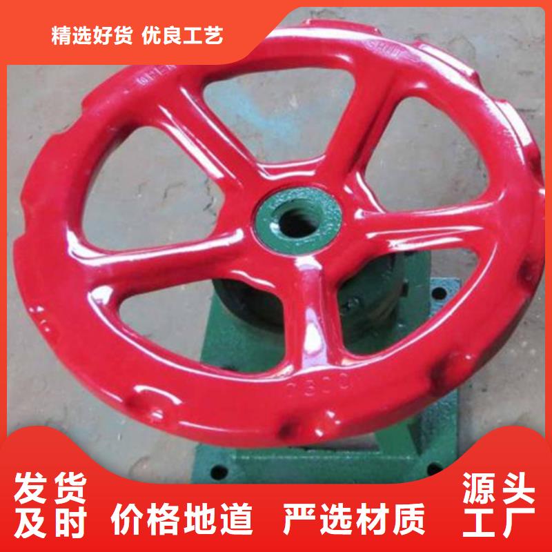 启闭机,QL-2*8T-SD手电两用启闭机贴心服务