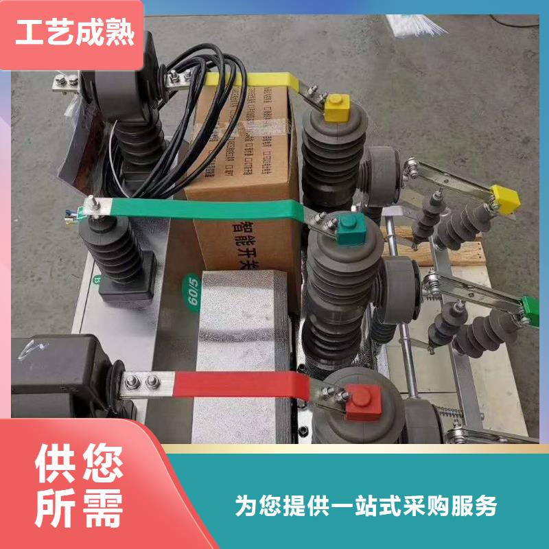 真空断路器PT手车多种工艺