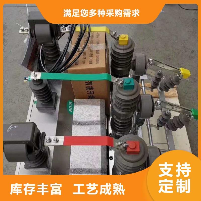 真空断路器PT手车多种工艺