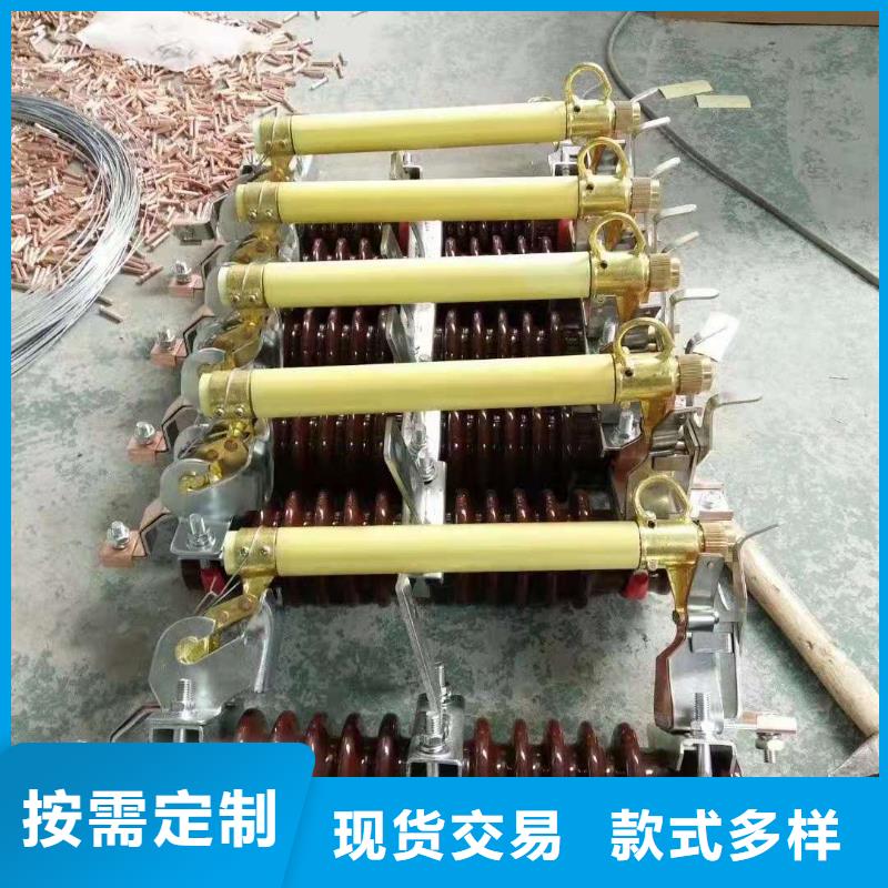 跌落式熔断器-FKN12-12/630A实体厂家支持定制