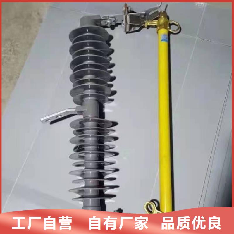 跌落式熔断器-FKN12-12/630A实体厂家支持定制