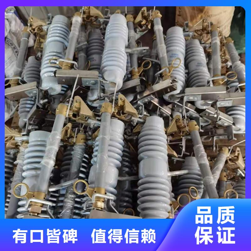 跌落式熔断器-FKN12-12/630A实体厂家支持定制